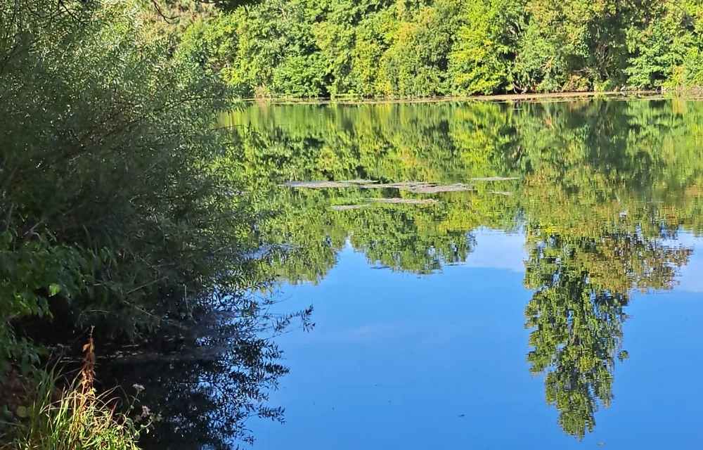Un plan d'eau arboré près du cabinet pour les séances en marchant