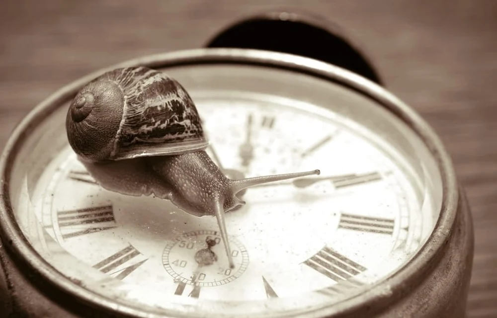 Une cagouille posée sur une horloge ancienne, symbole de lenteur en Charente
